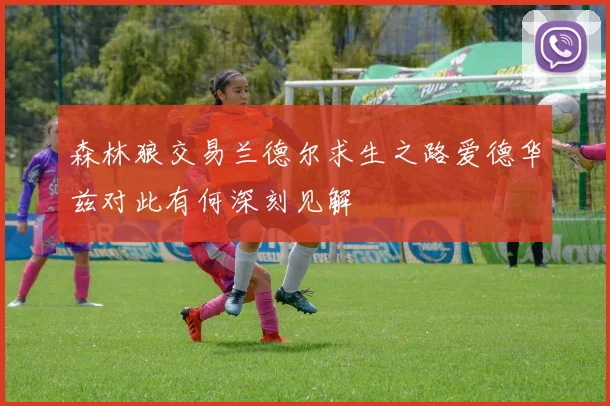森林狼交易兰德尔求生之路爱德华兹对此有何深刻见解